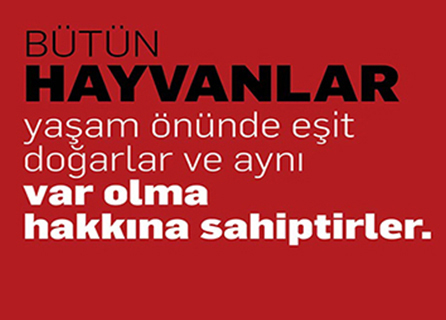 Rhea Veteriner Kliniği